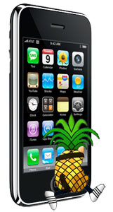 991iphone3gredSn0w